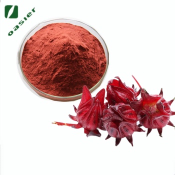歐澤生物 現貨供應 玫瑰茄**10％原花青素 洛神花**