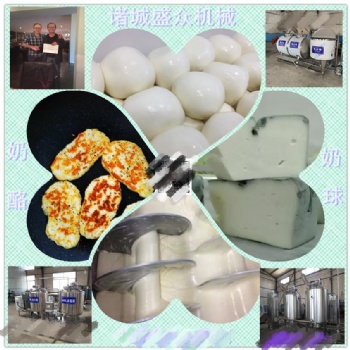 小型奶酪加工設備小型奶酪生產線