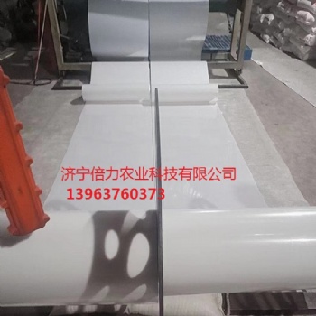 養殖清糞帶蛋雞清糞傳送帶訂購