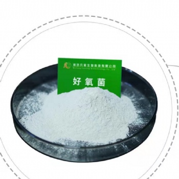 濰坊凡星生物生化池菌劑-好氧菌