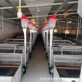 豬場自動料線 自動化料線 豬舍料線全自動養(yǎng)殖設(shè)備養(yǎng)殖育肥料線