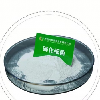 濰坊凡星生物生化池菌劑-硝化菌
