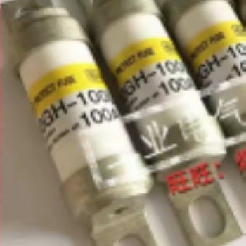 美國熱電賽默飛5014iBeta環(huán)境顆粒物監(jiān)測儀備件保險絲