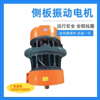 礦篩側(cè)板振動(dòng)電機(jī)HDC-75-6 5.5KW單軸振動(dòng)器