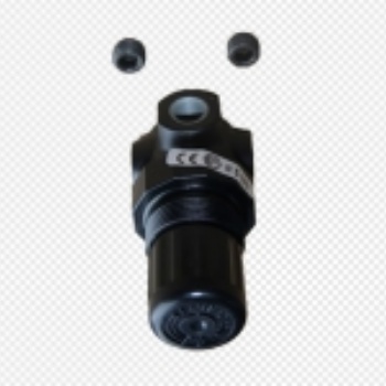 美國(guó)熱電賽默飛49i型氧分析儀備件調(diào)壓器