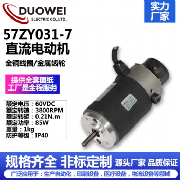 57ZY031-7直流電動機