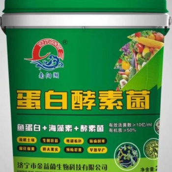 山東廠家生產蛋白酵素菌