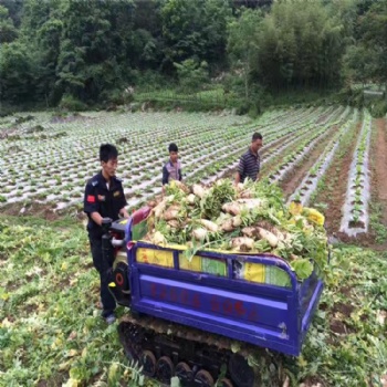收割機防陷橡膠履帶半鏈軌價格橡膠履帶輪