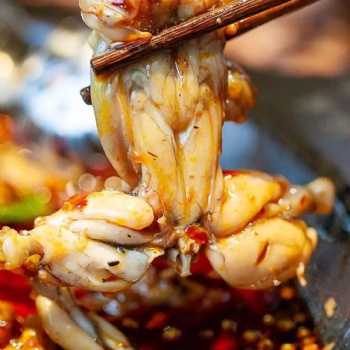 通遼美蛙魚頭底料廠家，通遼美蛙魚頭底料批發(fā)，定制，貼牌BL@2202-03