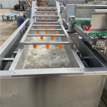 小油菜氣泡清洗機 果蔬類清洗機