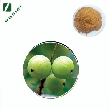 歐澤生物 西印度醋栗** 西印度醋栗粉 1.5 ％ VC 5％多酚