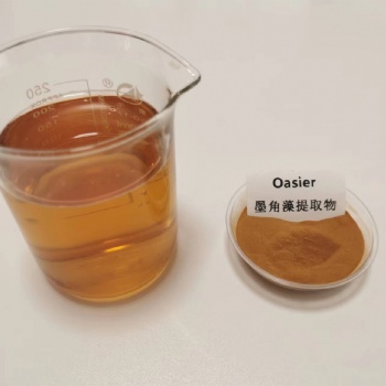 歐澤生物 墨角藻** 4:1 褐藻 墨角藻粉 墨角藻多糖