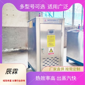 全自動蒸汽發生器節能環保型鍋爐電加熱蒸汽發生器升溫快速商用