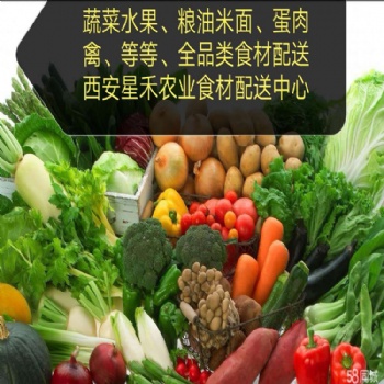 西安幼兒園 企事業單位蔬菜配送