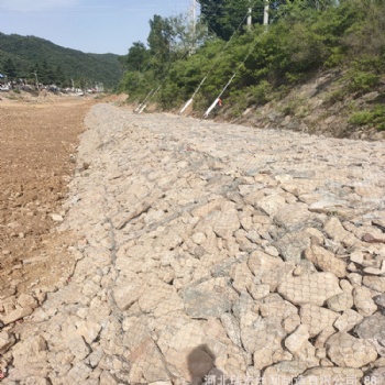 高品質雷諾護墊生產廠家