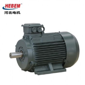 HEBEM河北電機(jī)股份有限公司YE3-90S-6電機(jī) 0.75KW 380V冠生電機(jī)三相異步電動機(jī)