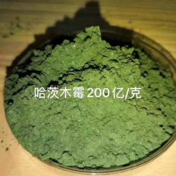 山東廠家生產哈茨木霉