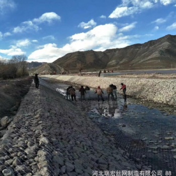各種雷諾護墊出售 實地貨源