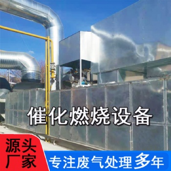 山東貝萊**催化燃燒CO爐vocs有機廢氣處理設備