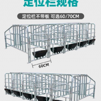 落地式定位欄 母豬定位欄 養豬場限位欄 60cm70cm欄寬
