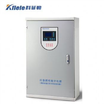 應急照明集中電源TY-D-0.3KVADC24V廠家-科菲勒消防