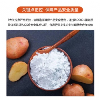 抗性淀粉生產廠家供應羥丙基淀粉批發(fā)價格