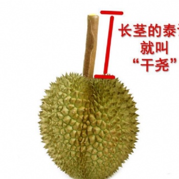 越南干堯榴蓮進口報關**（通關指南）