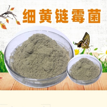 淡紫擬青霉 瓜果蔬菜預防根結線蟲用菌種