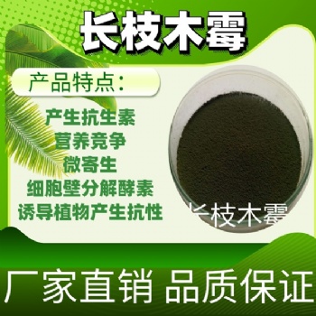 長枝木霉 瓜果蔬菜種植預防常見病害用菌種 肥料發(fā)酵菌種