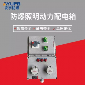 安宇防爆bxmd53-8/63K防爆配電箱 8回路防爆動力配電箱