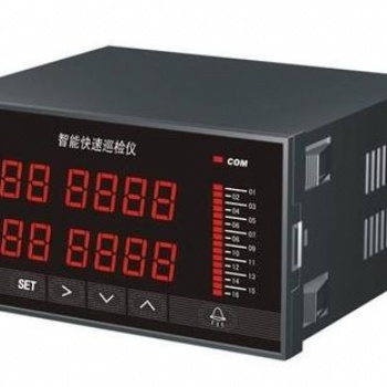 雙通道智能顯示調節(jié)儀