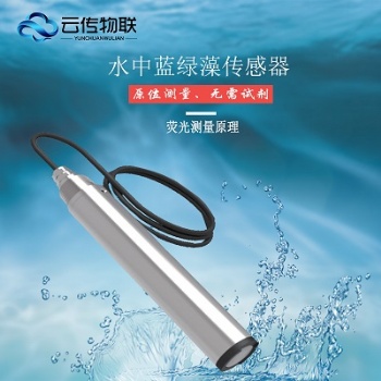 污水廠水質(zhì)檢測(cè)藍(lán)綠藻傳感器