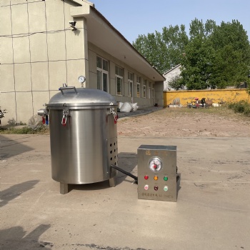 真空濾油機 商用煎炸油過濾機 麻花油過濾機
