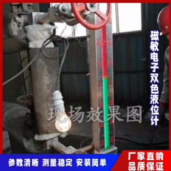 磁敏雙色液位計電子高壓鍋爐液位計