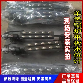 鍋爐聲光報警電子水位計