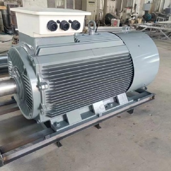 600KW200R/m380V大功率永磁同步發電機無刷稀土低速變頻發電機