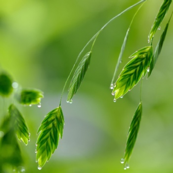 甘肅蘭州辦理質(zhì)量管理體系認(rèn)證孜孜不倦