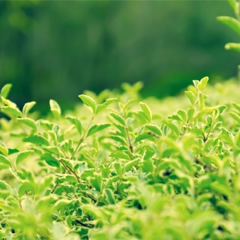 甘肅辦理質(zhì)量管理體系認(rèn)孜孜不倦