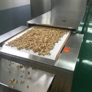 核桃仁微波烘烤設備,堅果烘烤熟化設備