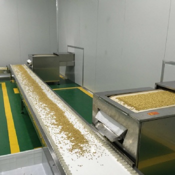 豆類微波熟化設備,大豆微波烘烤熟化設備,黃豆脫腥機