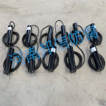 陰極保護PCCP管道極化探頭 雙試片電位測量 智能測試樁極化探頭