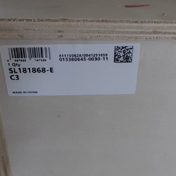 代理德國INA軸承SL181868-E-C3