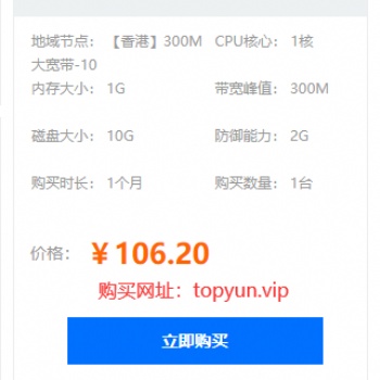 TOP云香港300M大帶寬云服務器僅106元/月
