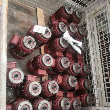 江蘇三馬ZDM21-4型0.8KW雙速錐形電機(jī)5t慢速小電機(jī)