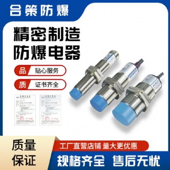 防爆接近開關BND定做