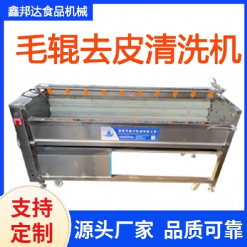 毛輥清洗機供應商 根莖類果蔬清理設備 土豆去皮設備