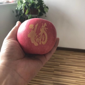 沈陽水果印字模板蘋果印刷圖案自選 蘋果印字模具鋼板加工制作廠家 蘋果獼猴桃印字機價格