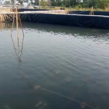 防滲土工膜大型蓄水池建設豬場污水池工程防滲土工膜