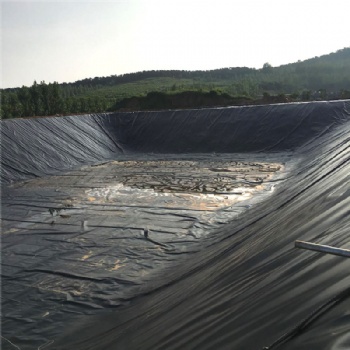 蓄水池土工膜豬場沼氣池污水處理工程土工膜