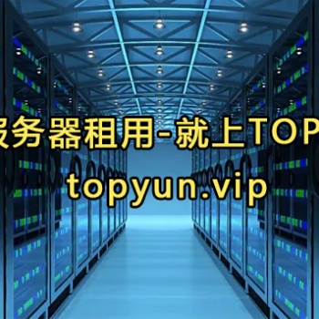 TOP云溫州高防物理服務器租用 24核32G低至399元每月